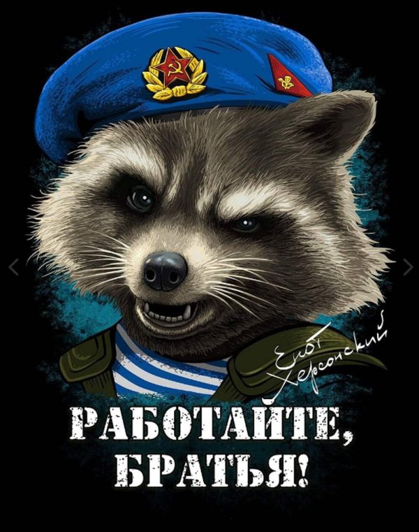 енот из херсона