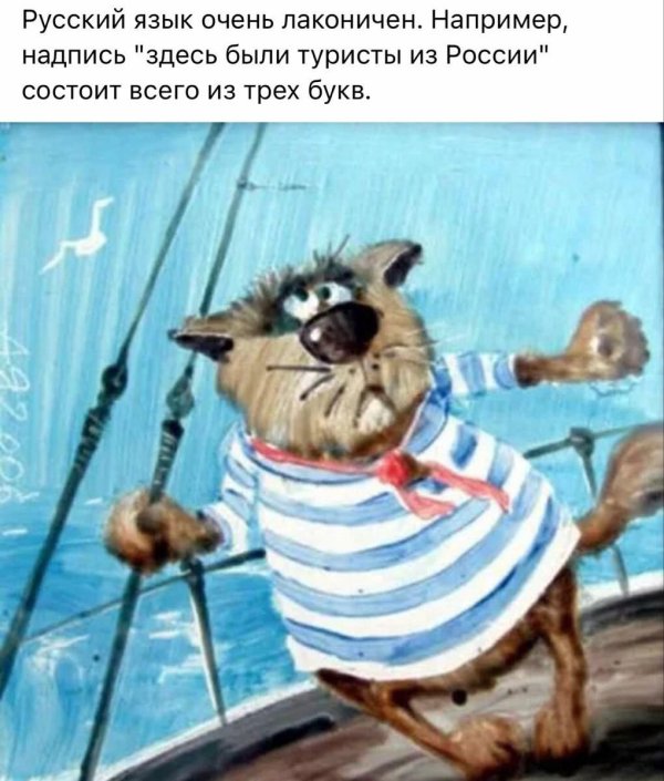 анатолий ярышкин коты
