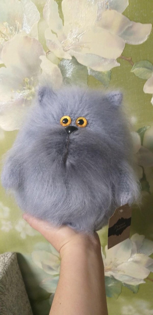 котики обормотики