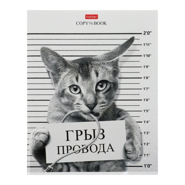 обложка тетради