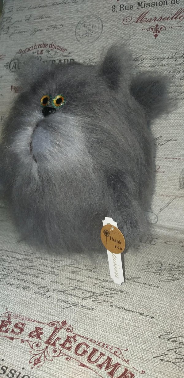 котики обормотики