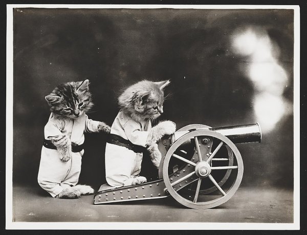 гарри уиттер фрис