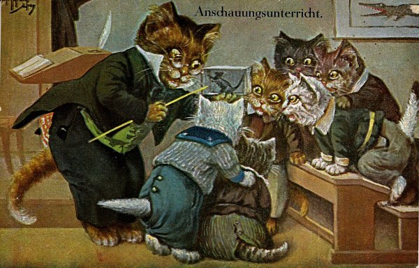 кошачья школа