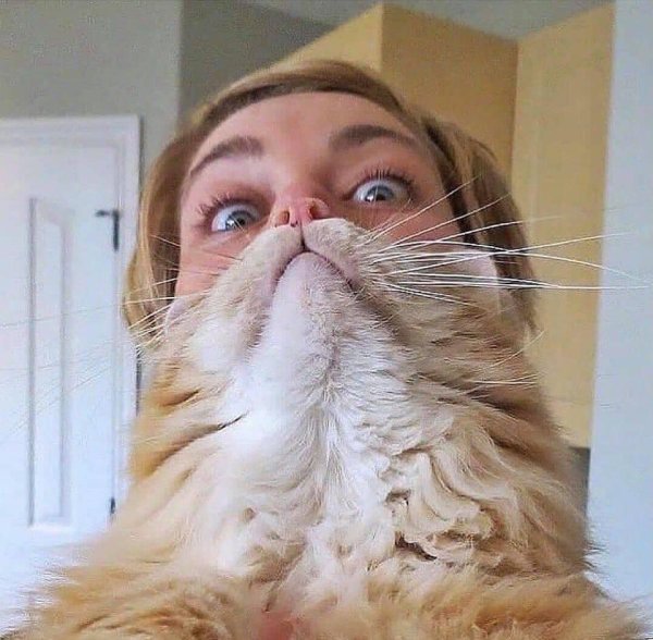 смешные совпадения