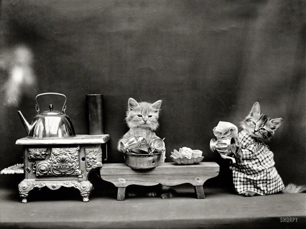 ретро котики