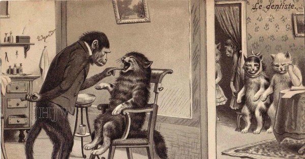 старинные открытки с кошками