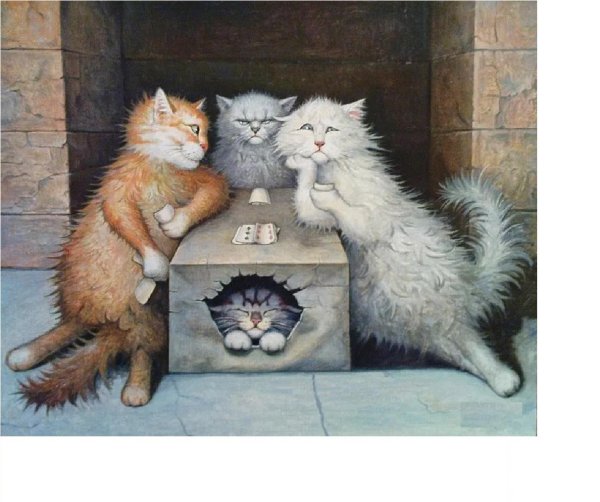 коты степана каширина картины