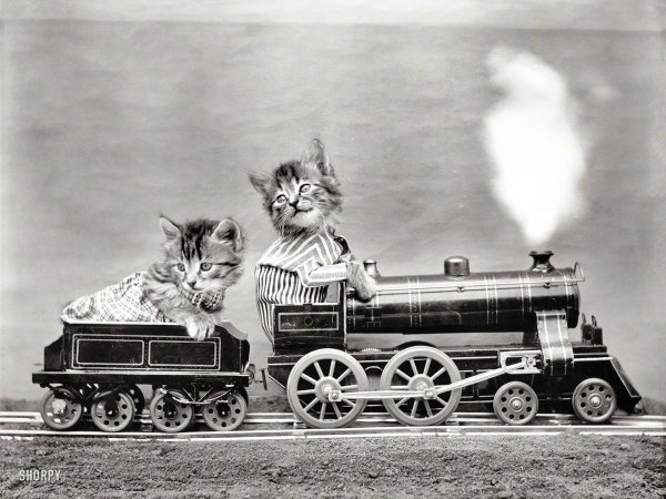 ретро фотографии