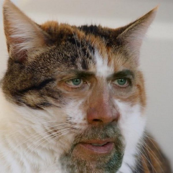 николас кейдж всратый