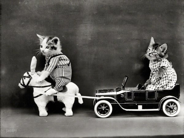 гарри уиттер фрис