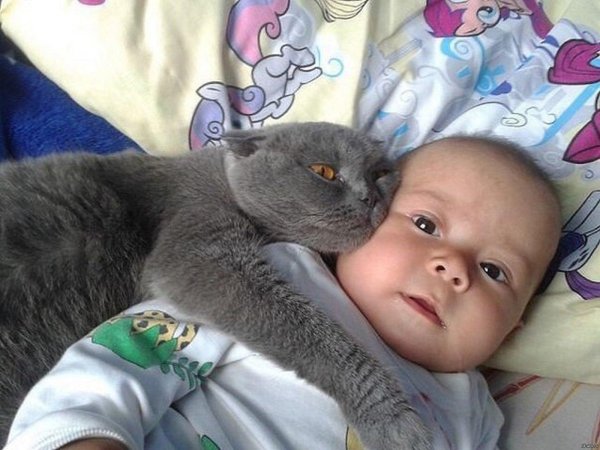 кошка для детей