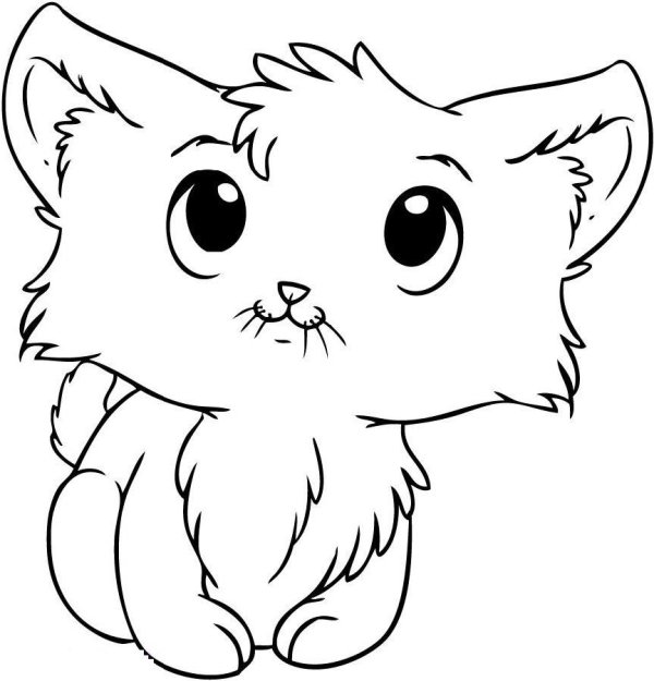 раскраска маленькие котики