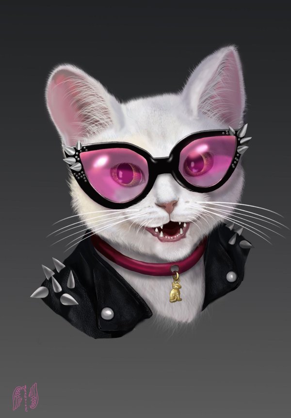 крутая кошка