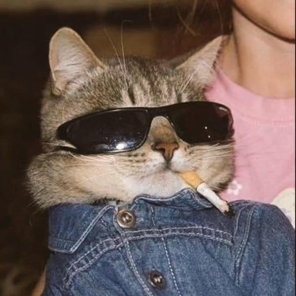 кот с сигаретой