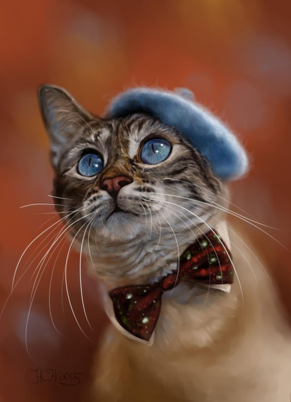 рисованные коты