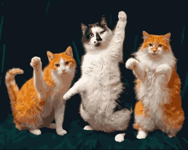 танцующие котики