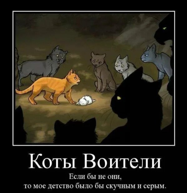 кот воители
