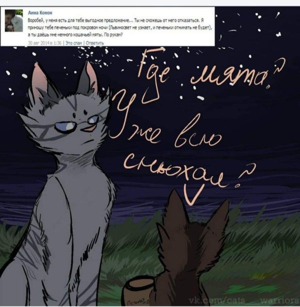 коты воители мем