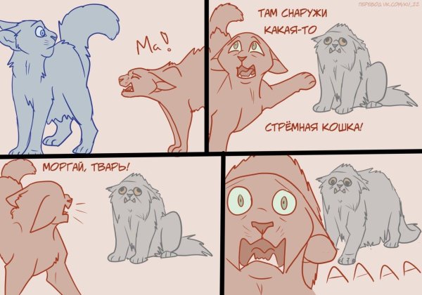 кот воители