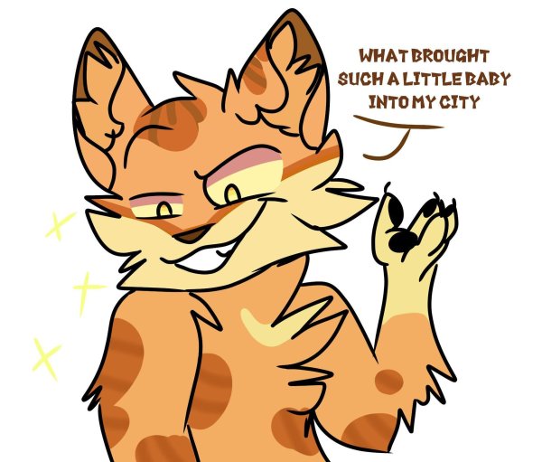 кот воители