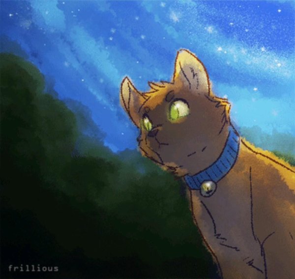 коты воители рыжик огнезвёзд