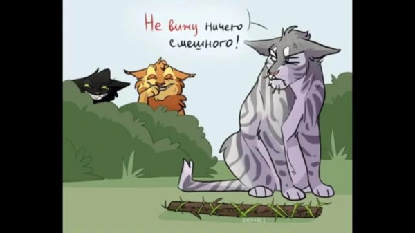 кот воители