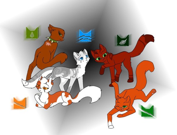 кот воители