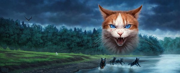 польские обложки котов воителей