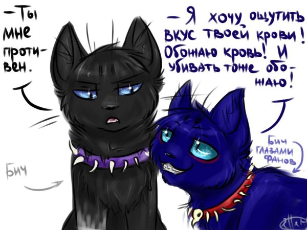 бич кот воитель