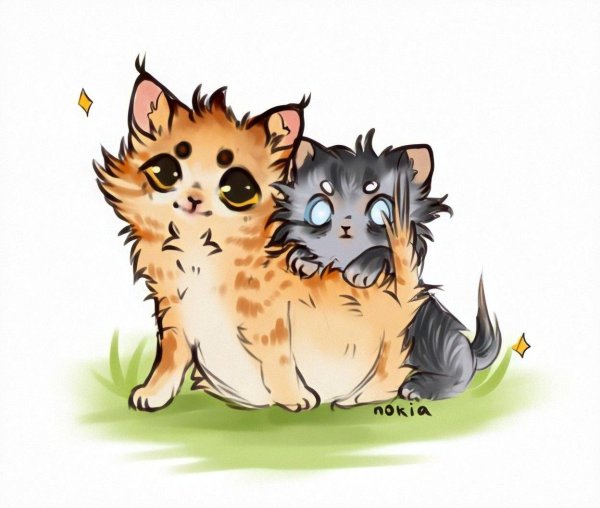 кот воители