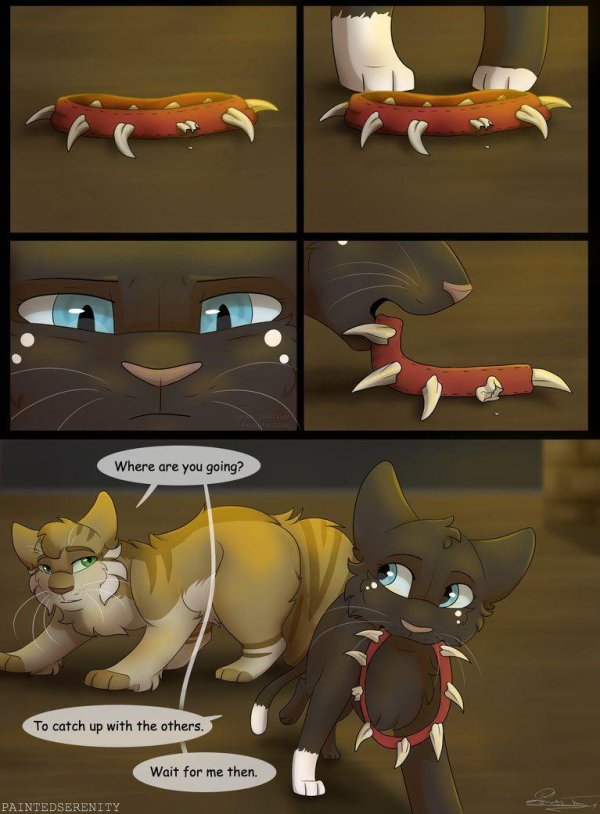 коты воители комикс