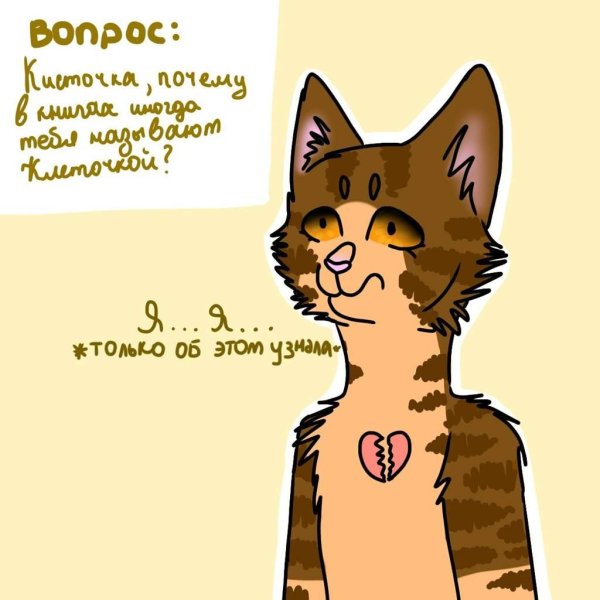 кот воители