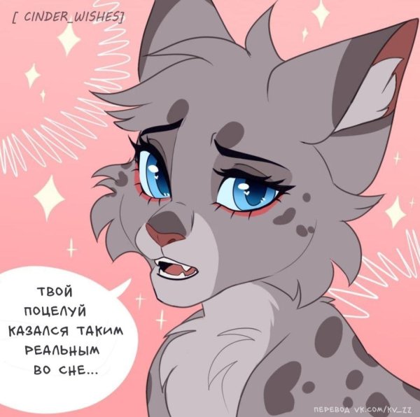 кот воители