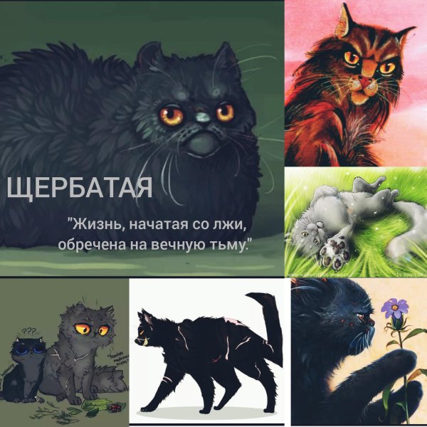 щербатая из котов воителей