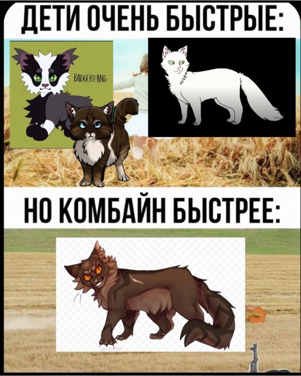 персонажи котов воителей