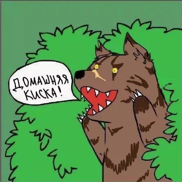 медведь из куста