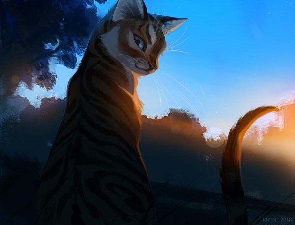 красивые арты котов воителей