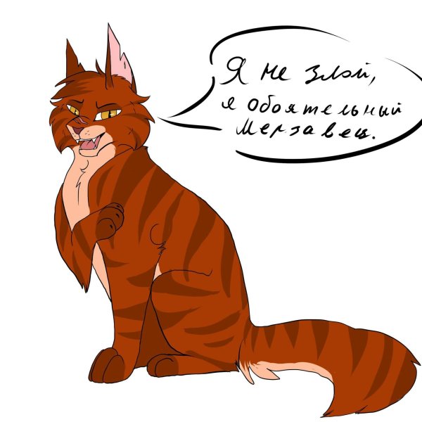 кот воители