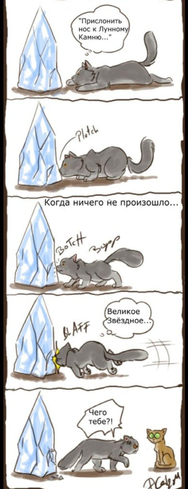 комиксы про котов воителей