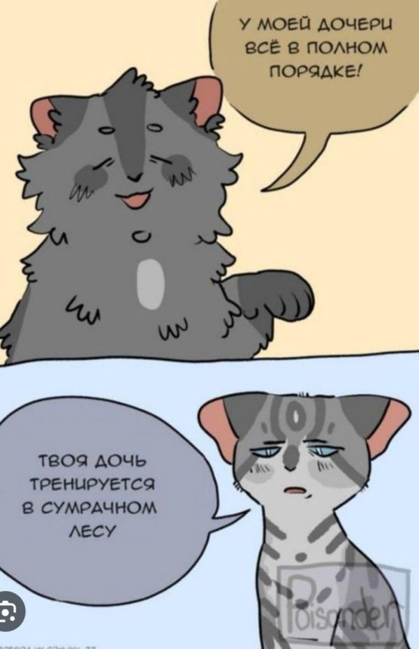 имена котов воителей
