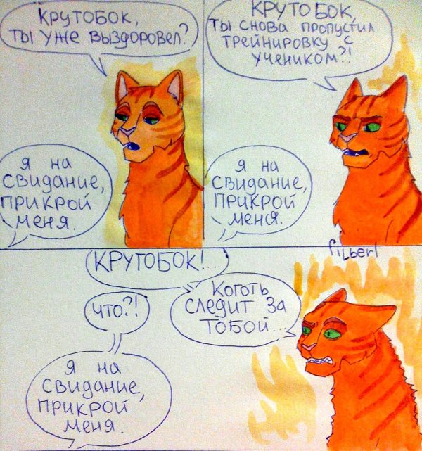 миссия огнезвезда