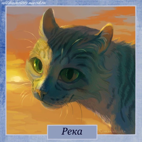 коты воители romashikarts