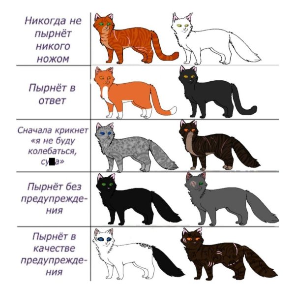 кот воители
