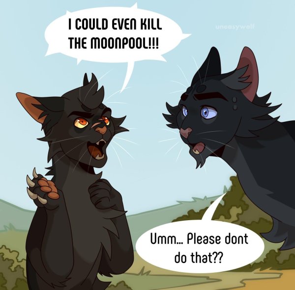 ветерок коты воители