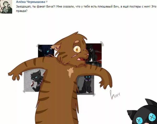 кот воители