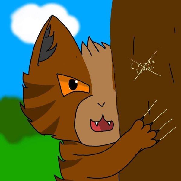 кот воители