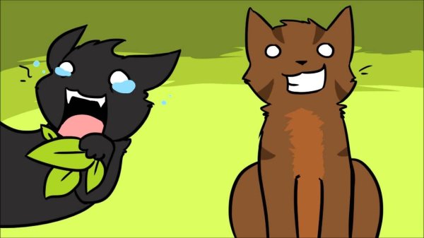 warrior cats crowfeather