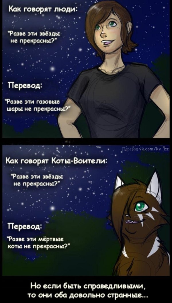 коты воители читать