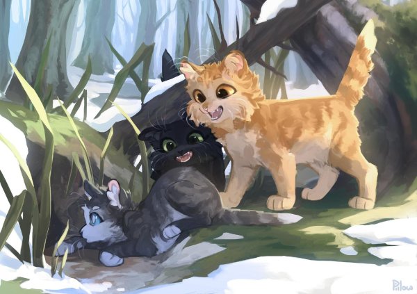 кот воители