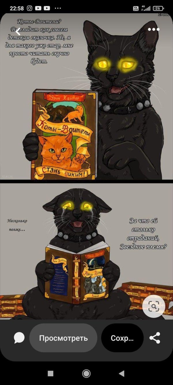 кот воители